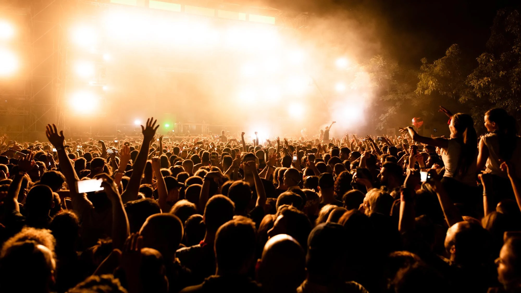 rear-view-large-group-music-fans-front-stage-music